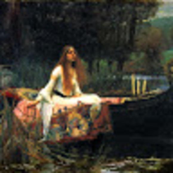 Meet your Posher, Renea - Picture 1 of 1